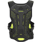 DNA Stone Guard niveau 2