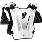 Guardian-bodyprotector