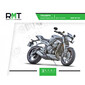 TRIPLE Rmt 197 TRIUMPH STREET (2017 tot 2019)