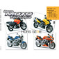 RMT HS 13.1 SUZUKI SV - DL 1000 (2002-2004) en KAWAZAKI KLV1000 (2004)