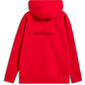 Emergent Oversized Hoodie