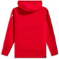 Linear Wordmark V3 hoody