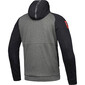 Sweatshirt met touchdowns