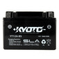YT12A-BS SLA AGM-batterij