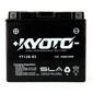 YT12B-BS SLA AGM-batterij