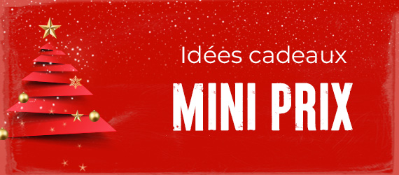 Idées cadeaux mini prix